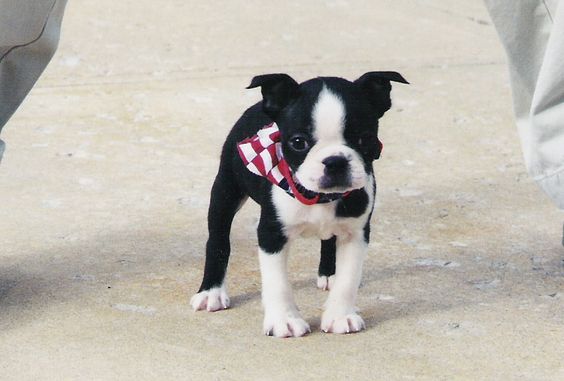 c1f84570be7196e04318498efdf11f7f