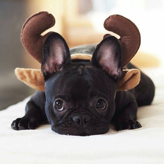 c6b17c0565f28f1c90b3ee0a6f10be1e