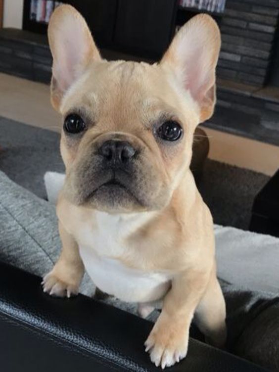 f5c5c90058ac8deaaed6447b7b335acb