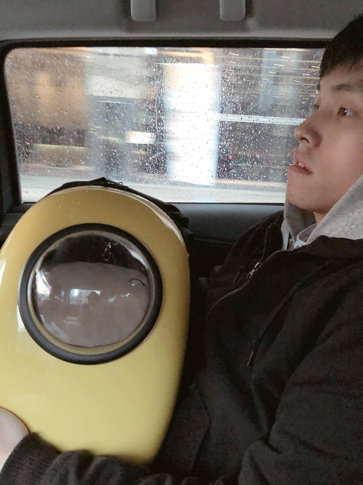 27654406_1955637391431420_705461538911083659_n