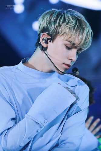 vernon-seventeen-40557388-333-500