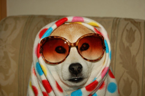 tumblr_mdp1t8eh311rv0o6uo1_500