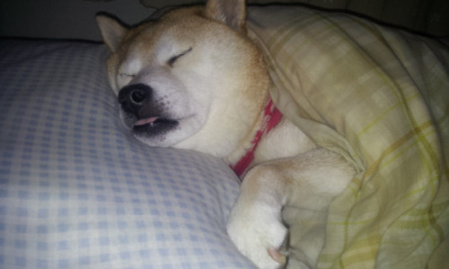 tumblr_mdp70ahaww1rv0o6uo1_500