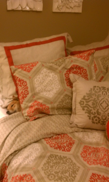 tumblr_mgmr1jmzhh1rv0o6uo1_500