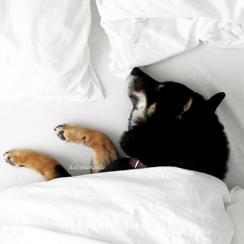 tumblr_mjux1q6hld1rv0o6uo1_500