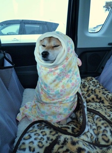 tumblr_mqogfuhioz1qb1xf7o1_400