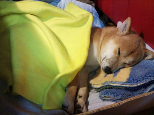 tumblr_n19p9o2igl1rv0o6uo1_500