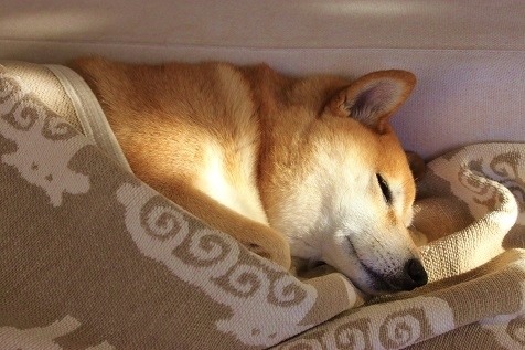 tumblr_nefygtbf1f1qb1xf7o1_500