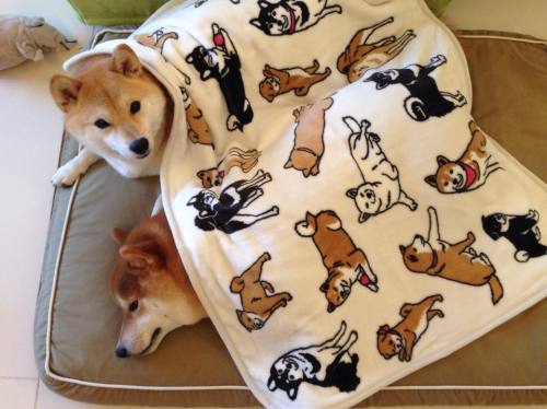 tumblr_nfcov5mwa21tfx3xho1_500