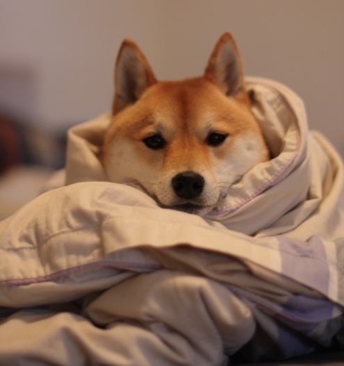 tumblr_nhrsaza2pk1rv0o6uo1_500