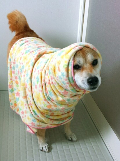 tumblr_nubcu6bgjq1qb1xf7o1_500