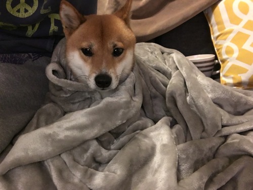 tumblr_nxu1le4eon1rv0o6uo1_500