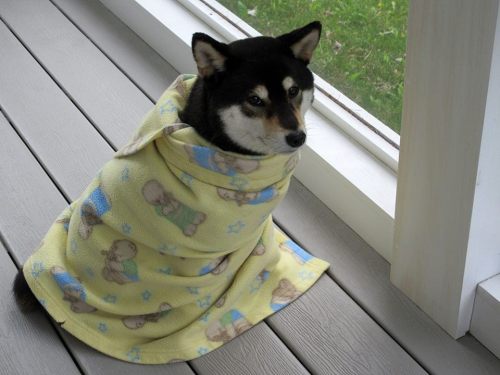 tumblr_o7u8mhg7vo1qb1xf7o1_500