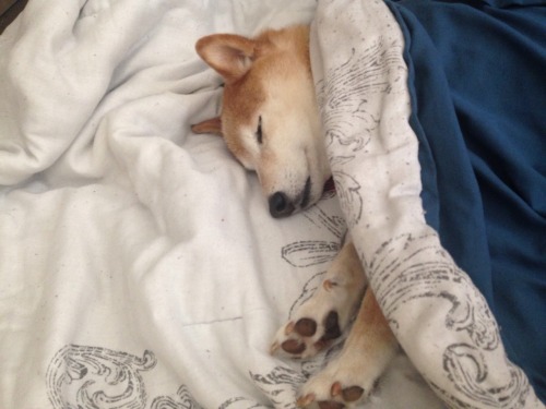 tumblr_ofhko2pjvi1qb1xf7o1_500