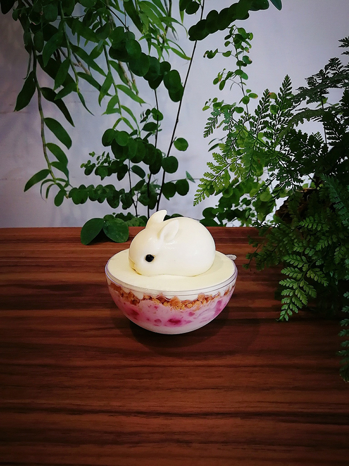 24785385_1587299824685153_4576618127786484921_o