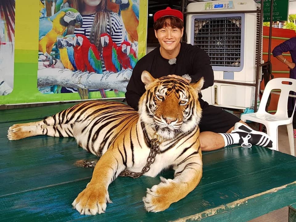 28434426_374072369735584_4491710286016806912_n