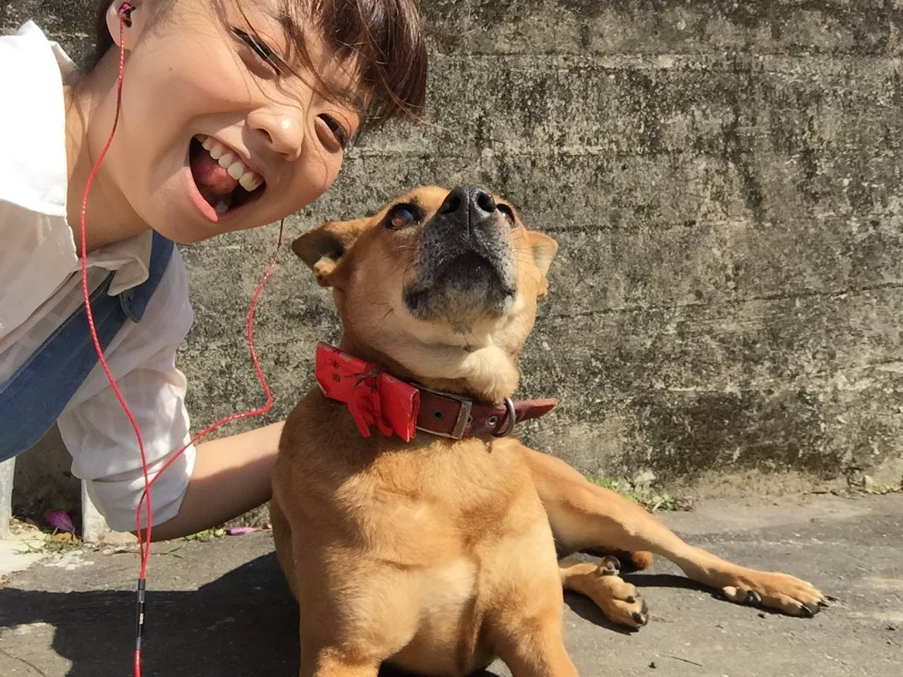 27993568_2007253896264441_100819281615442683_o