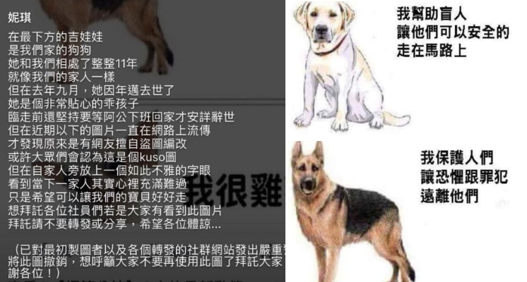 愛犬遭惡搞後製！吉娃娃「X 掰」梗圖瘋傳，主人怒：牠已經過世了