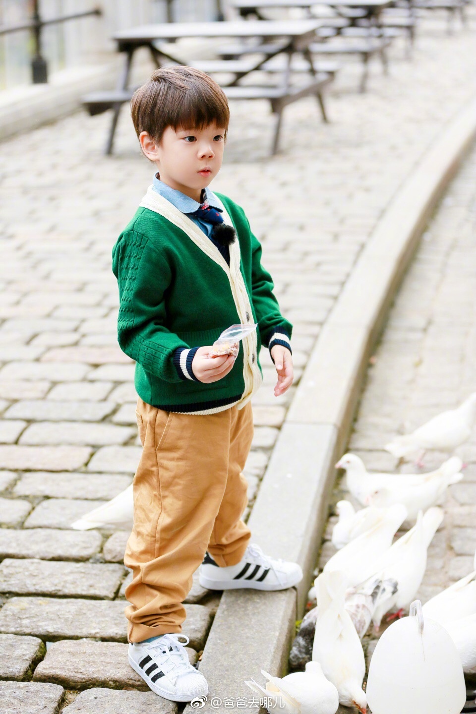 特輯 / 《爸爸》5位小萌娃近況曝光!「這一位」在節目中「感染毀容」 4年後狀況引網心疼!