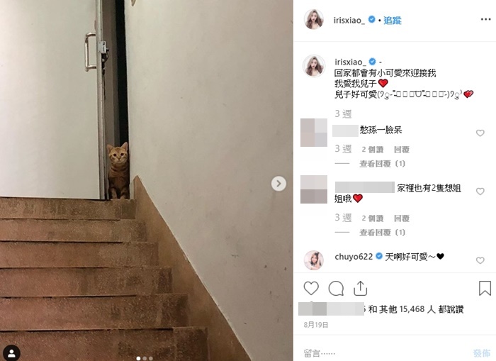 「兒子」抱黃包包小腿爽睡一整晚!閃亮亮「曬床照」吃醋:原來這就是小三…