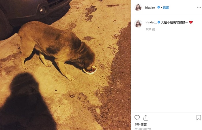 「兒子」抱黃包包小腿爽睡一整晚!閃亮亮「曬床照」吃醋:原來這就是小三…