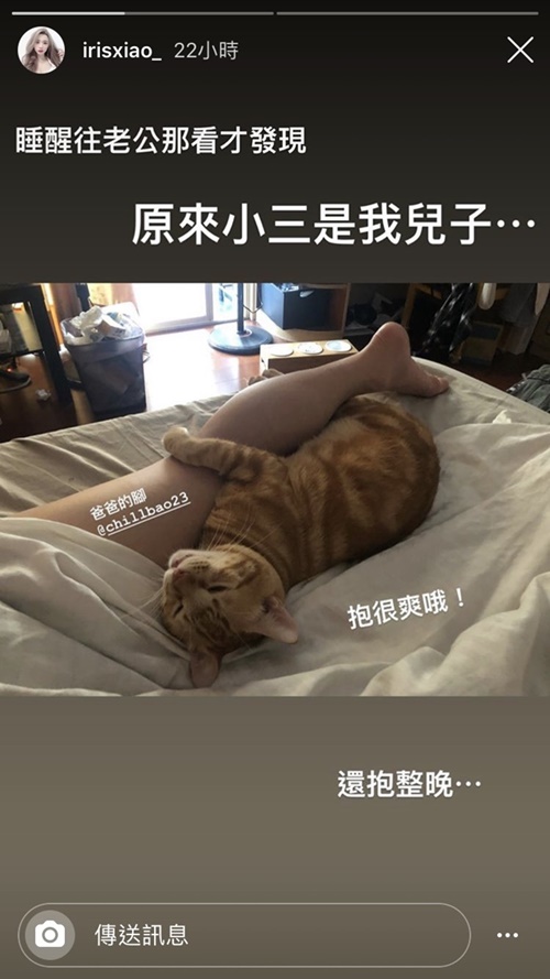 「兒子」抱黃包包小腿爽睡一整晚!閃亮亮「曬床照」吃醋:原來這就是小三…