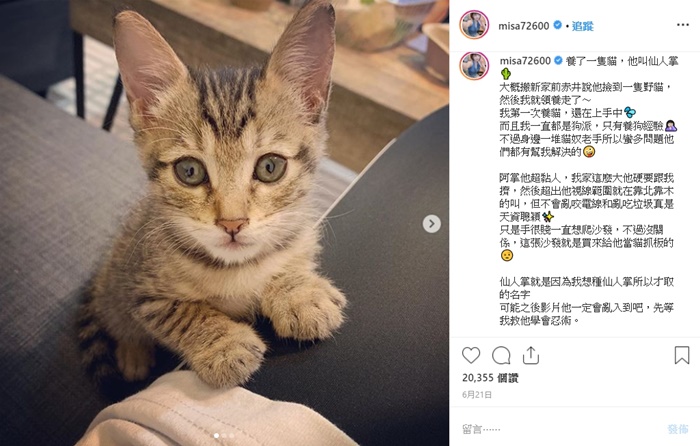 米砂虐貓？網嗆「給你養真的很可悲」…本人傻眼公開「養貓真相」：你不懂情趣啦
