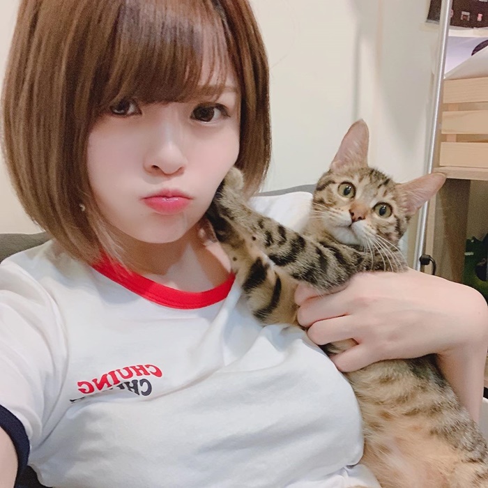 米砂虐貓？網嗆「給你養真的很可悲」…本人傻眼公開「養貓真相」：你不懂情趣啦