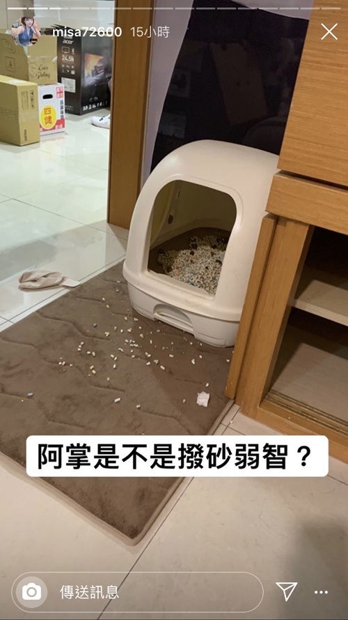 米砂虐貓？網嗆「給你養真的很可悲」…本人傻眼公開「養貓真相」：你不懂情趣啦