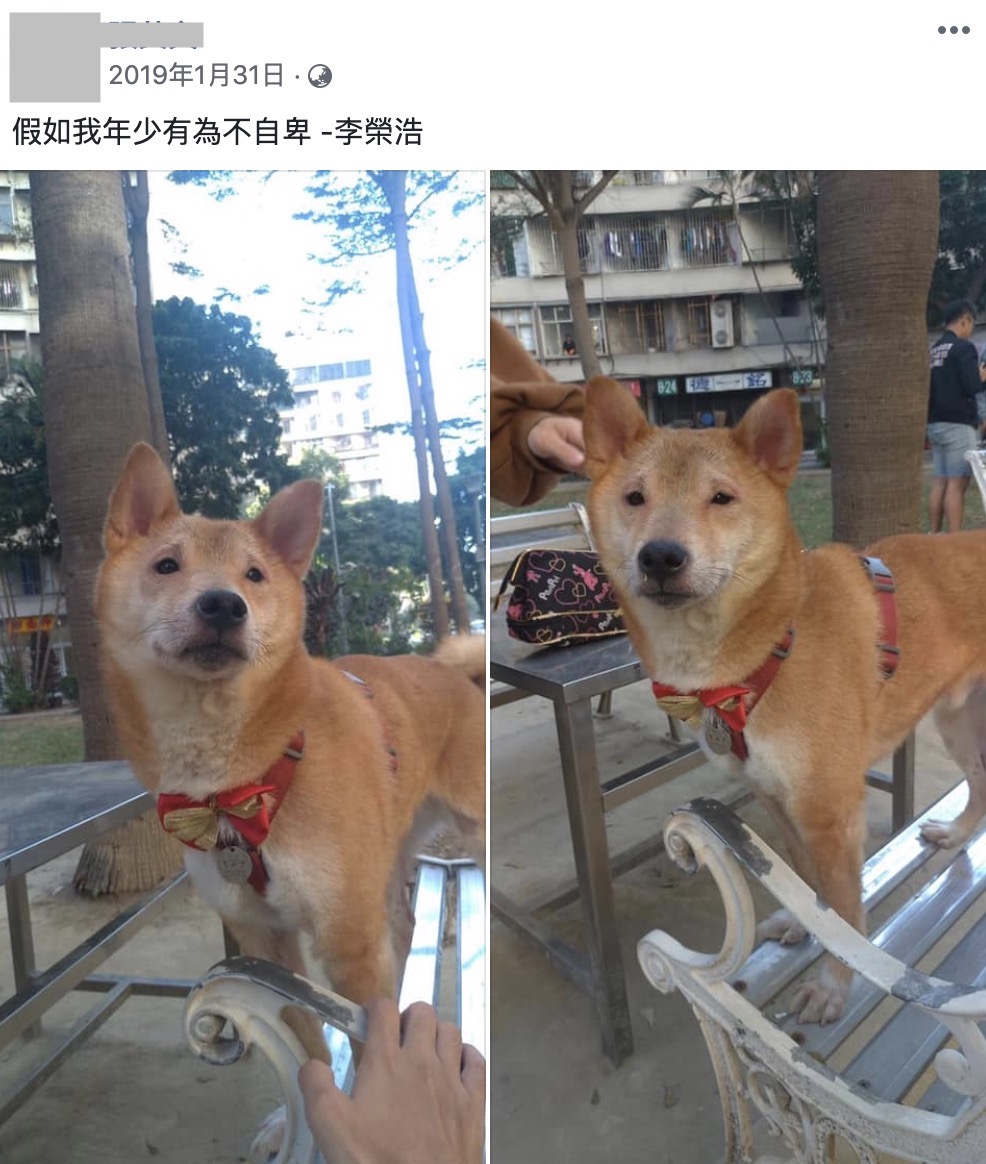 小眼睛撞臉貓狗!李榮浩童年照出土 「激萌渾圓大眼」網嚇到:太扯了