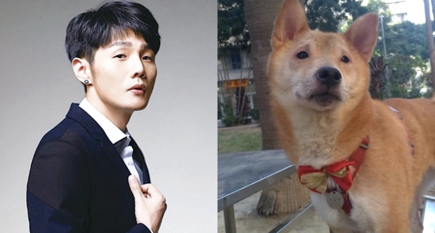 小眼睛撞臉貓狗!李榮浩童年照出土 「激萌渾圓大眼」網嚇到:太扯了