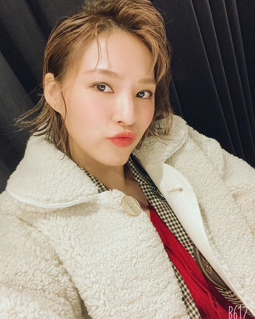 放送福利!熊熊辣曬「健身照」秀美胸 女星看傻:浮誇