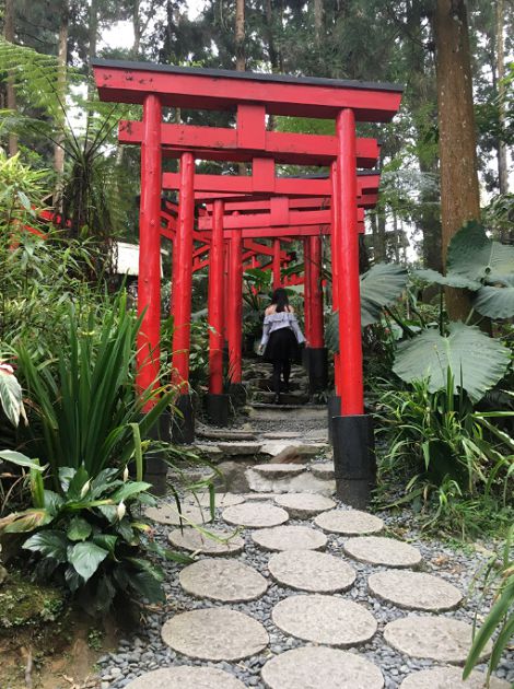 高調曬恩愛?阿神首曝「男友視角」閃照 甜喊:不是妹妹啦