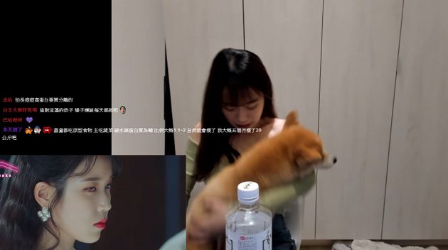 實況兇妹「衣領超低」！愛犬猛一拉風光乍現  網：這狗很專業