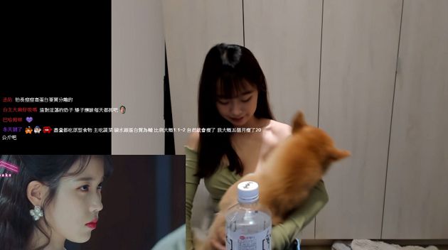 實況兇妹「衣領超低」！愛犬猛一拉風光乍現  網：這狗很專業