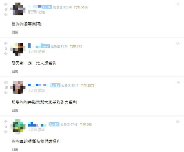 實況兇妹「衣領超低」！愛犬猛一拉風光乍現  網：這狗很專業