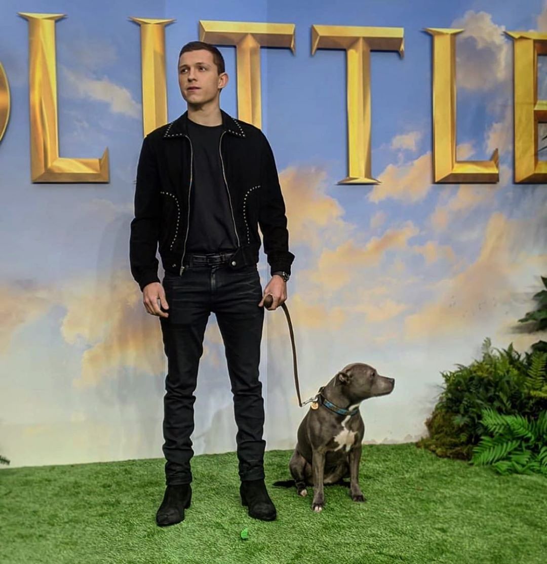 認了「人生最後悔」!湯姆霍蘭德遺憾吐心聲:為了演戲放棄它