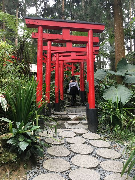 女友正面曝光！阿神脫單曝「親暱托臉照」  網嗨：村長夫人好