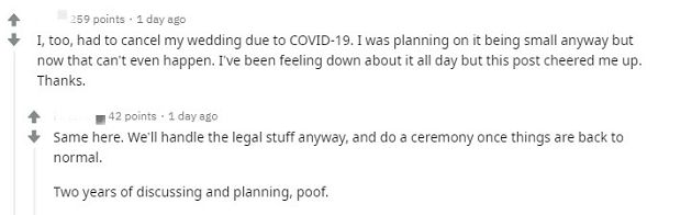 婚禮因疫情喊卡！《動物森友會》還原「感人現場」獻祝福：替你開心