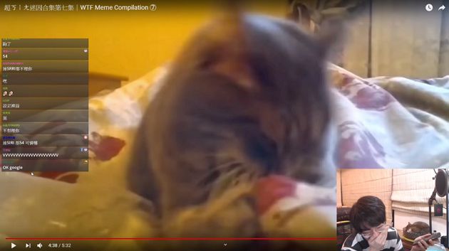 直播洩玄機!SIRI曝光實況主「感情狀況」 網抓:不只一個?