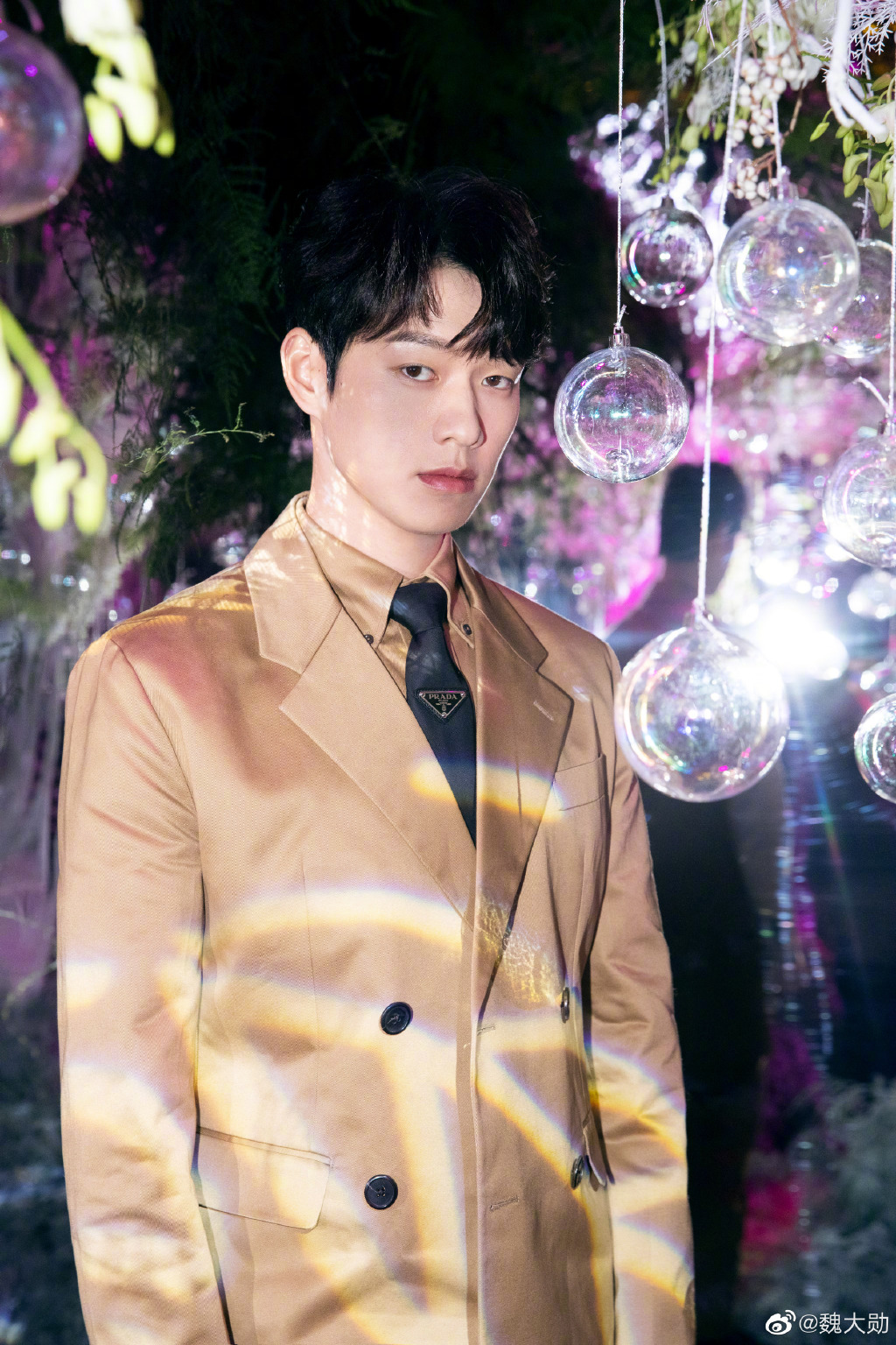 戀上「小3歲男星」！楊冪再爆「酒店甜蜜過夜」過程全被拍　網：分手又復合？