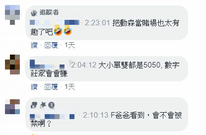 《動物森友會》無極限!實況主「線上賭場」開盤 網:比買大頭菜還賺