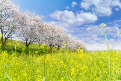 Keanna Taiyh-雙魚游泳