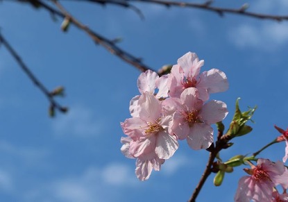 游又瞳-幸福旅途