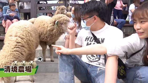 甜喊寶貝!實況主「湘湘」現身Toyz新片黏緊緊 網驚:公開了!