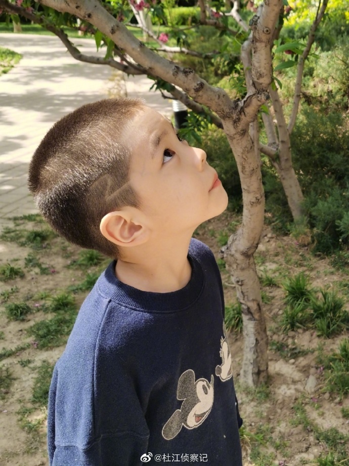 被剃成地中海!嗯哼「表情逐漸失控」 「成品出爐」網全暴動:真的長大了!