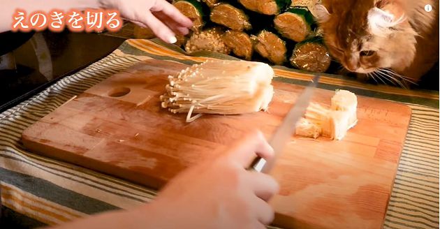 為點閱不要命?木下佑香只吃「金針菇配辣油」:狂加美乃滋