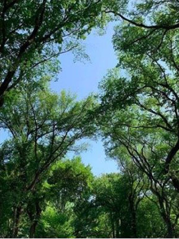 玄彬爆復合宋慧喬?9年後網抓「4證據」 網:孫藝真怎麼辦?