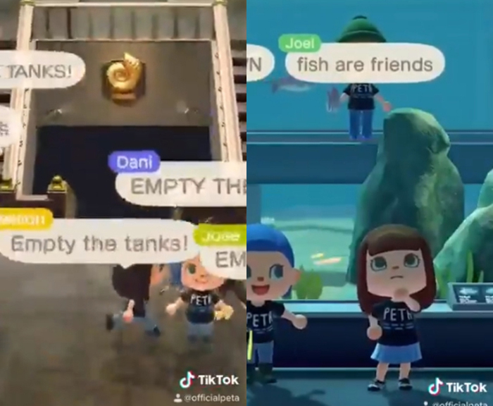 《森友會》虐待動物？協會「入侵博物館」抗議　網抓證據：自打嘴巴