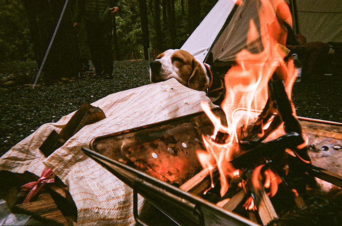 遠赴菲律賓拍攝！瘦子E.SO「裸秀大肌肌」man炸